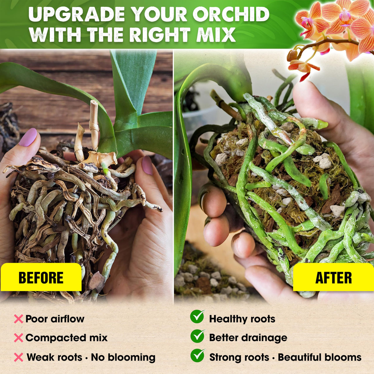 Duspro Orchid Potting Mix chunky-perlite close-up showcases improved drainage and reduced compaction