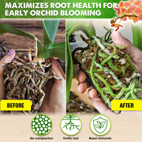 Duspro orchid potting mix featuring chunky perlite to prevent compaction.