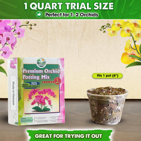 Duspro Orchid Potting Mix moisture-balance close-up demonstrates moisture retention with healthy aeration