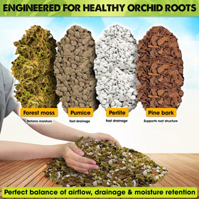 Duspro orchid mix featuring pine bark mulch to improve drainage and airflow
