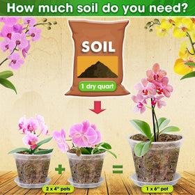 Duspro orchid potting mix ready-to-use kit for quick repotting.