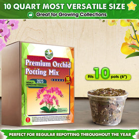 Duspro orchid potting mix demonstrates a well‑draining, moisture‑balanced substrate