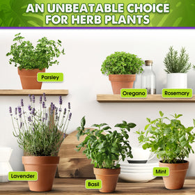Duspro Recycle 2qrt ideal for aroids and herbs in containers