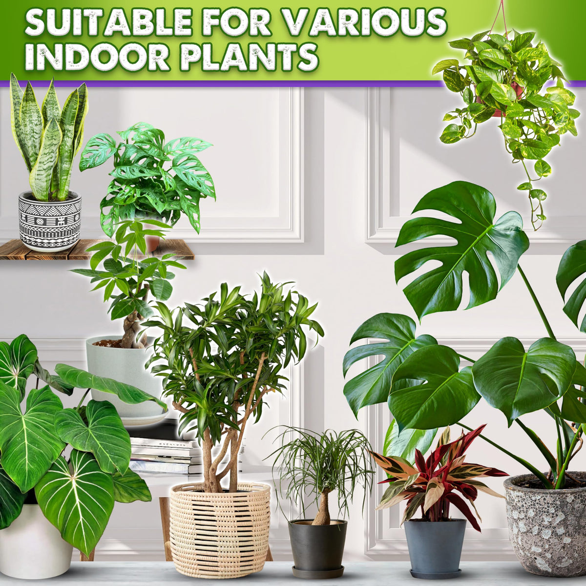 Duspro Recycle 4QRT includes peat moss for moisture retention in indoor pots.