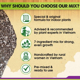 Duspro Recycle 4QRT mix includes perlite for lightweight, well-draining indoor soil.