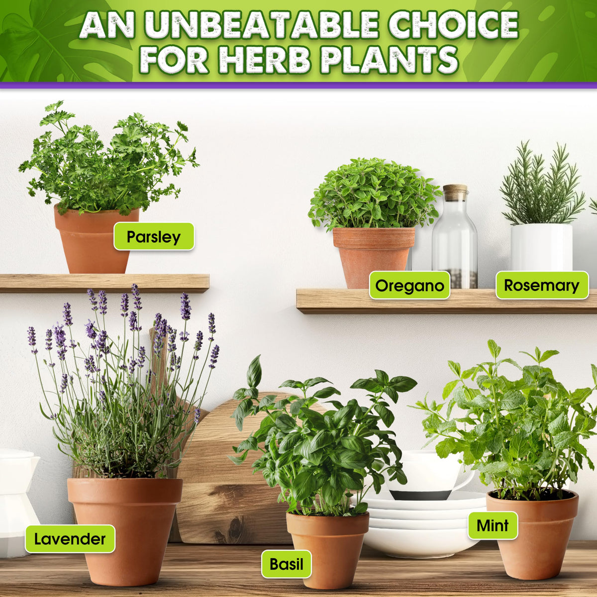 Duspro Recycle 4QRT ready-to-use potting mix saves prep time for plant care.