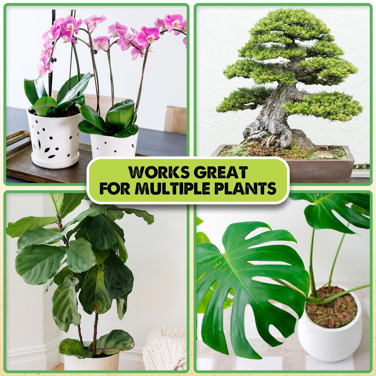 Blend Duspro orchid bark with moss for versatile potting mixes.