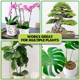 Blend Duspro orchid bark with moss for versatile potting mixes.
