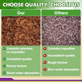 Moisture retention and drainage features aid indoor plants.