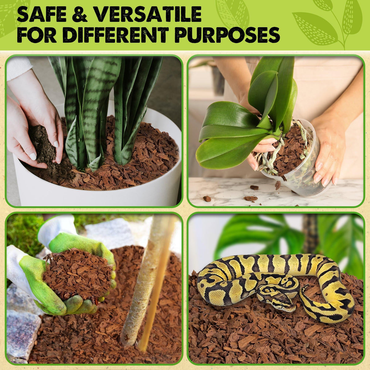 Duspro orchid bark in planting setup emphasizes porosity and drainage.
