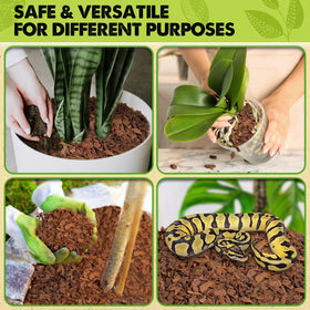 Duspro orchid bark in planting setup emphasizes porosity and drainage.