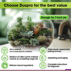 Duspro Recycle Terrarium Kit moss, green moss and sphagnum boost moisture retention