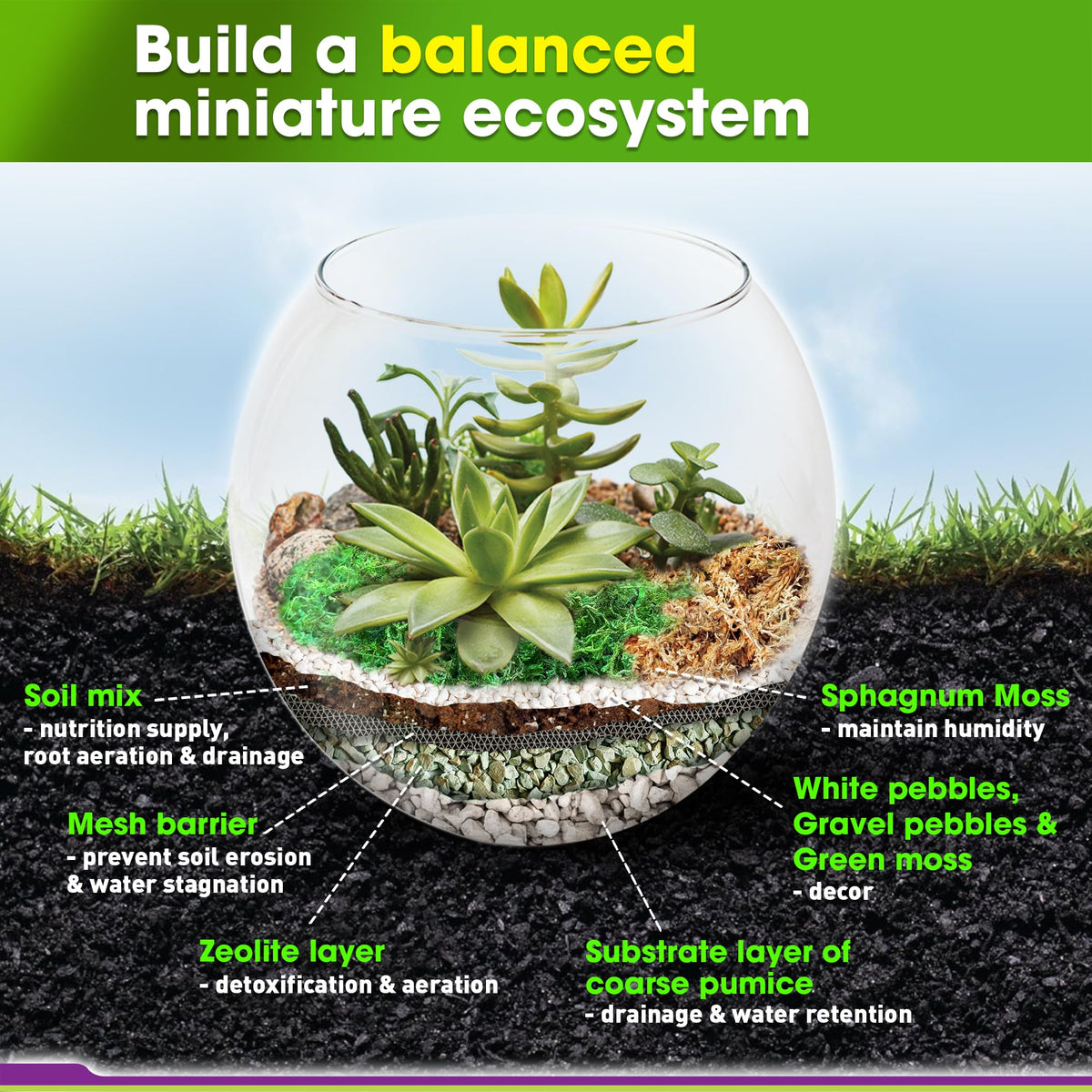 Duspro Recycle Terrarium Kit soil-mix, premium blend supports drainage and root oxygen