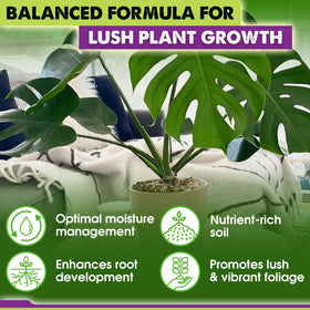 Duspro Recycle Tropical Potting Mix pine bark detail supports structure and drainage in container plantings