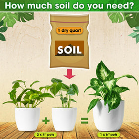 Duspro Recycle Tropical Potting Mix drainage with pumice indicates quick water movement preventing soggy roots