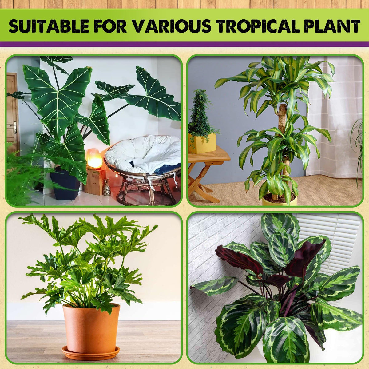 Duspro Recycle Tropical Potting Mix ready-to-use design helps fast setup for versatile houseplants