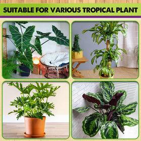 Duspro Recycle Tropical Potting Mix ready-to-use design helps fast setup for versatile houseplants