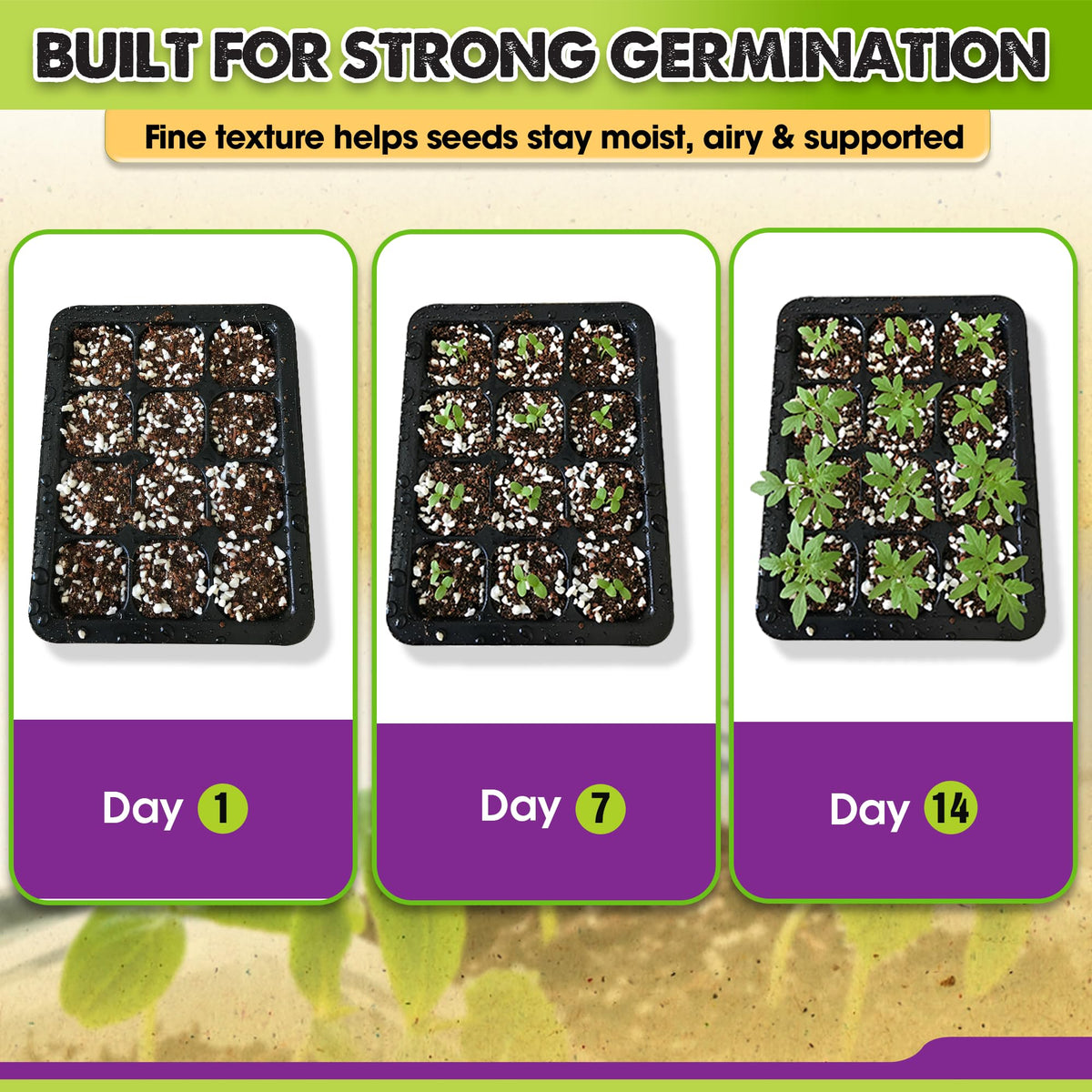 Duspro Seed Starter Mix in a nursery pot supports easy seedling establishment.