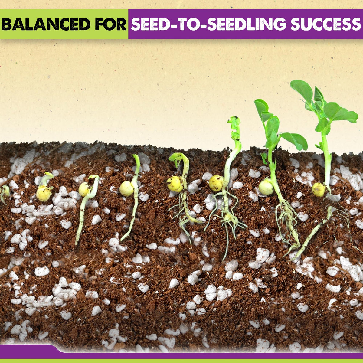 Duspro Seed Starter Mix shows perlite and vermiculite texture for airier roots.