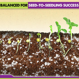 Duspro Seed Starter Mix shows perlite and vermiculite texture for airier roots.