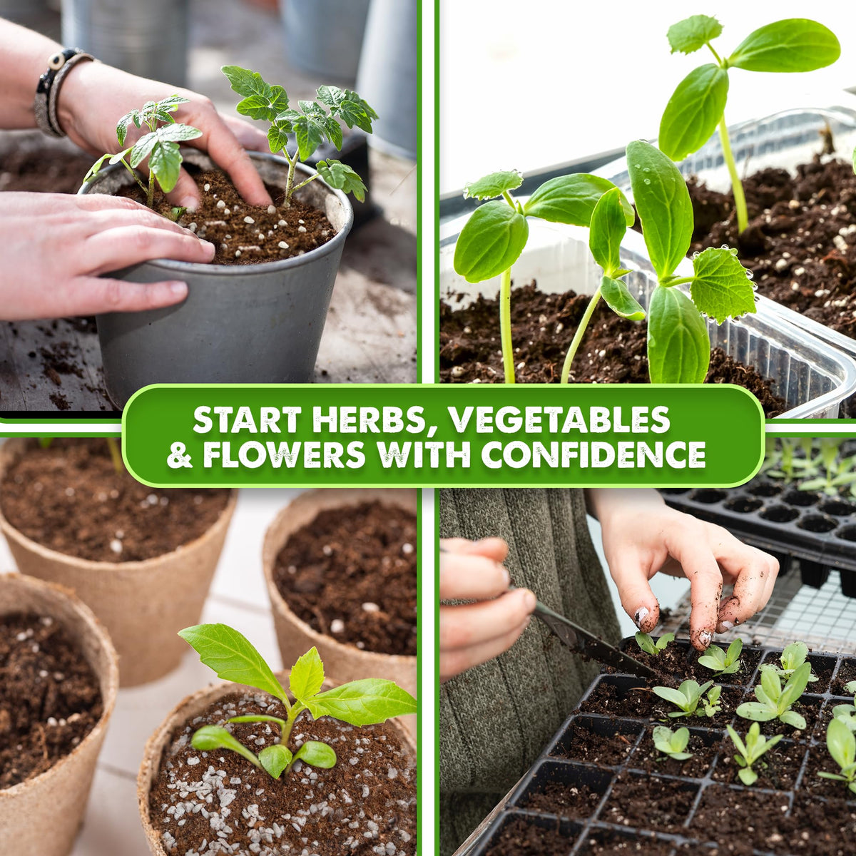 Duspro Seed Starter Mix supports vegetables, herbs, and flowers seeds