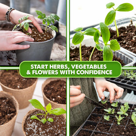 Duspro Seed Starter Mix supports vegetables, herbs, and flowers seeds