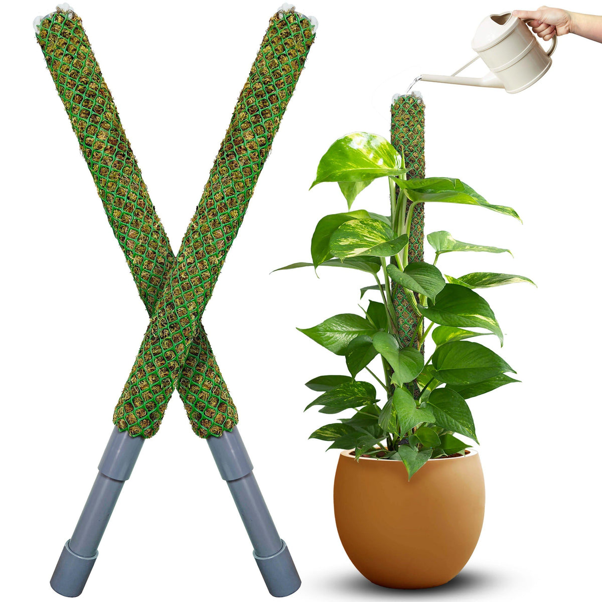 Duspro self-watering moss pole elevates indoor plants with sustained hydration.
