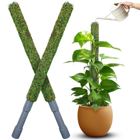 Duspro self-watering moss pole elevates indoor plants with sustained hydration.
