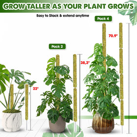 Duspro stackable design enables quick height extension for climbing plants.