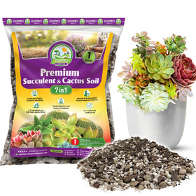 Duspro succulents soil bag close-up showing premium blend for healthy roots.