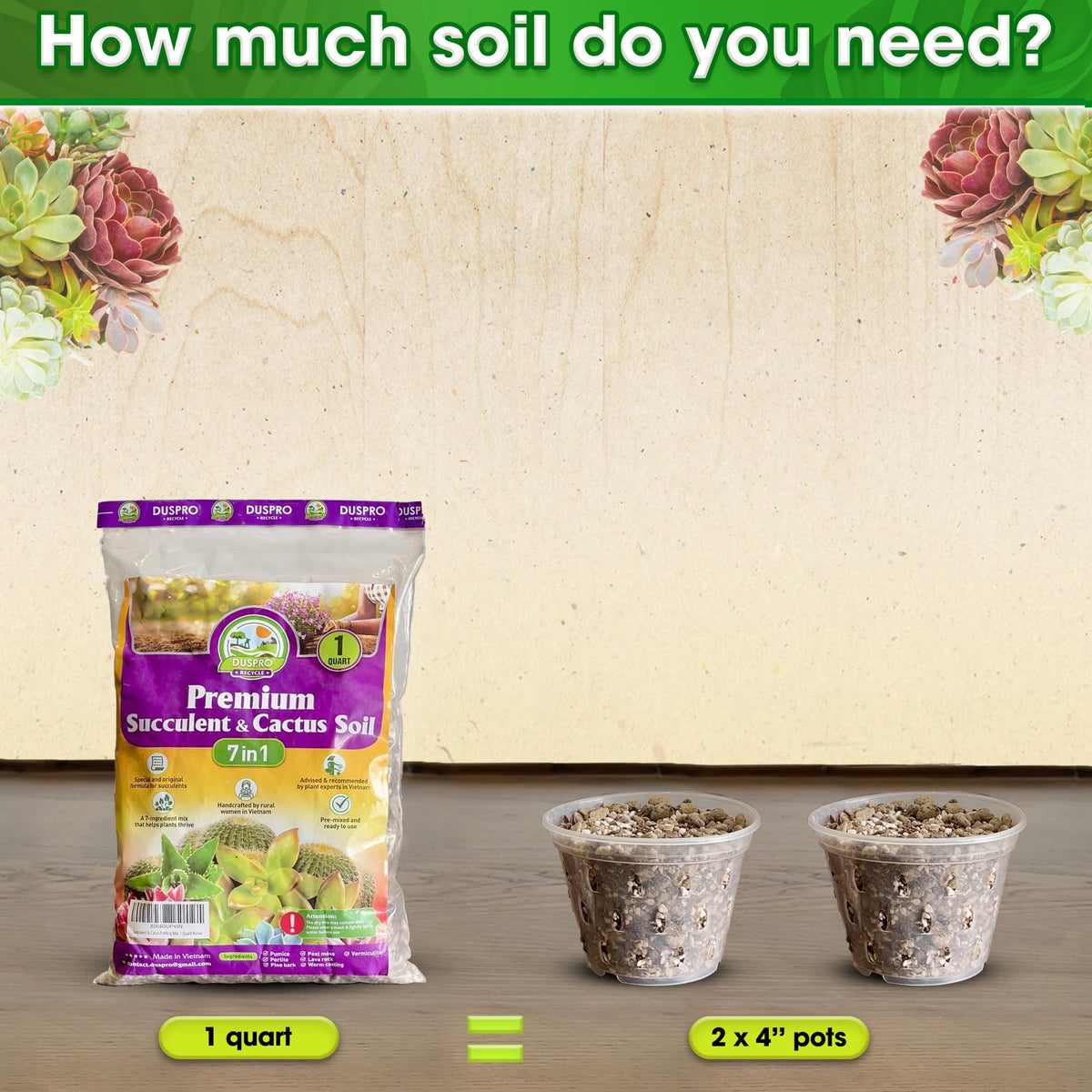 Duspro succulents soil in pots and terrariums supports healthy root growth.