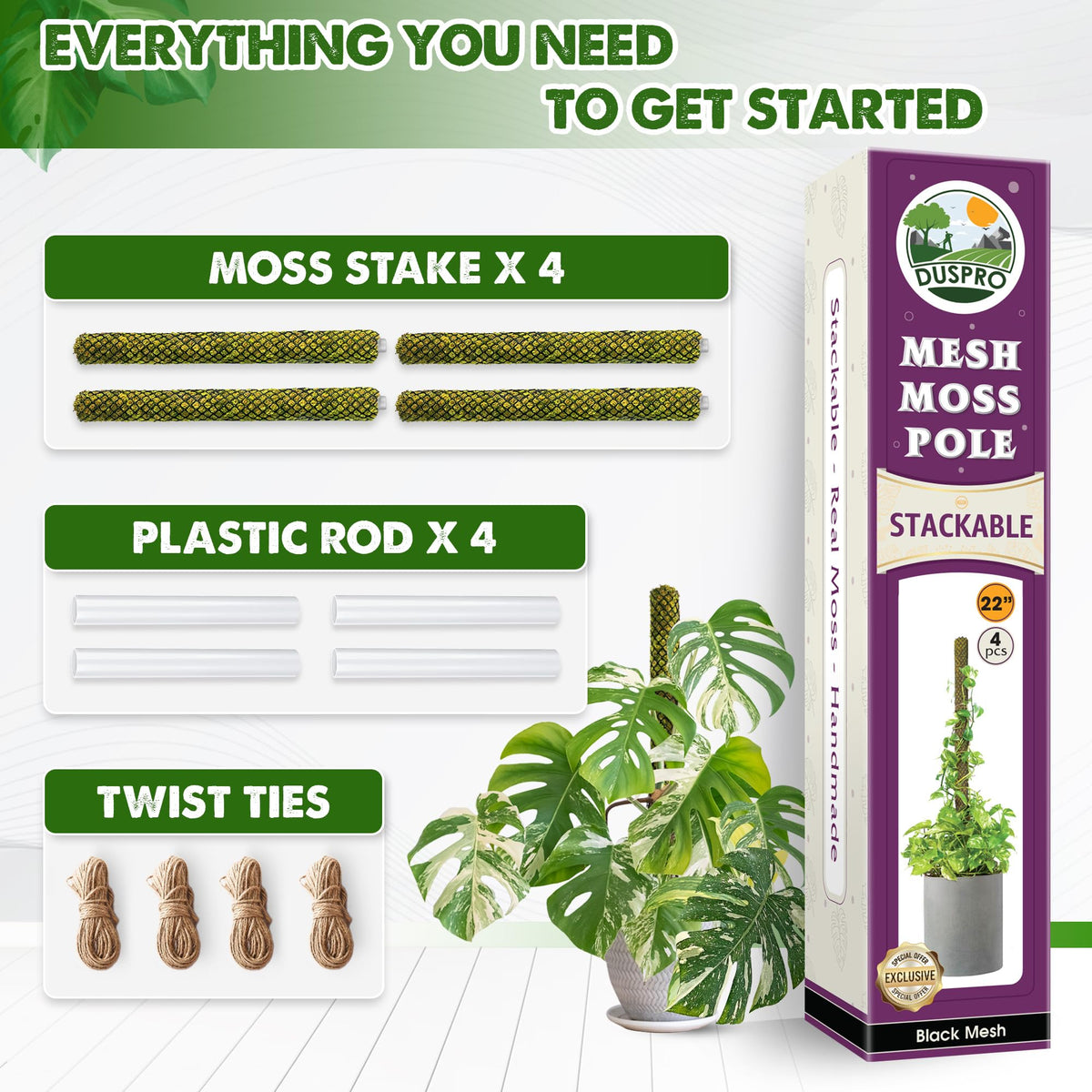 Duspro vertical-growth solution keeps plants upright indoors