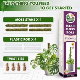 Duspro vertical-growth solution keeps plants upright indoors