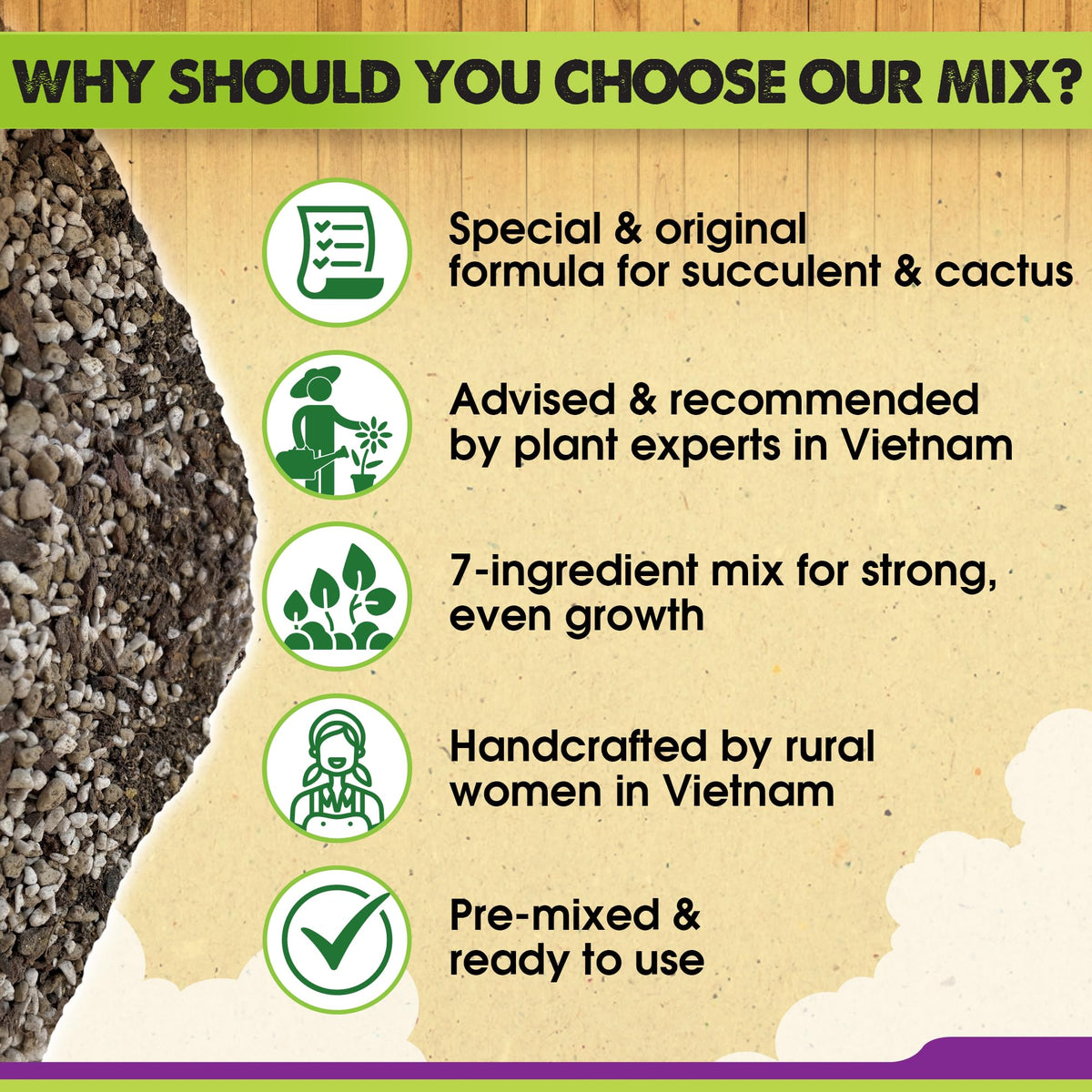 Duspro well-draining succulent soil promotes airflow and healthy roots