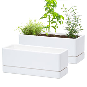 D'vine Dev 12-inch window box planter ideal for herbs on a sunny windowsill.