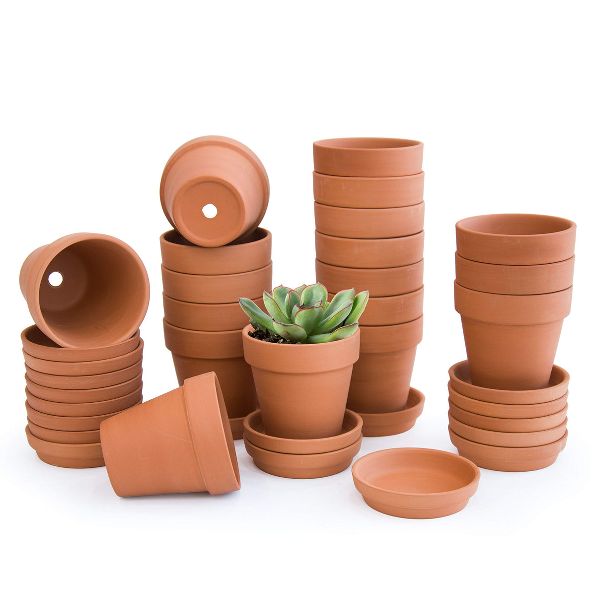 D'vine Dev terracotta pot with saucer and drainage hole for healthy watering