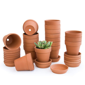D'vine Dev terracotta pot with saucer and drainage hole for healthy watering