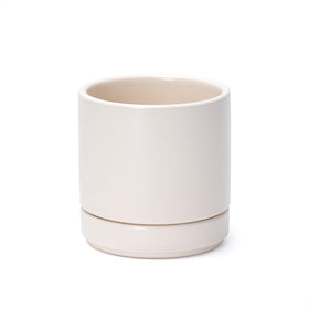 D'vine Dev 4.7-inch ceramic planter with drainage and saucer for indoor use