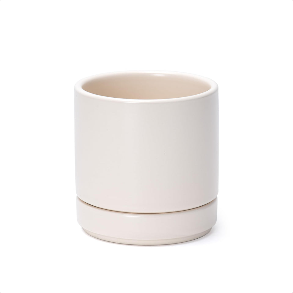 D'vine Dev 4.7-inch ceramic planter with drainage and saucer for indoor use