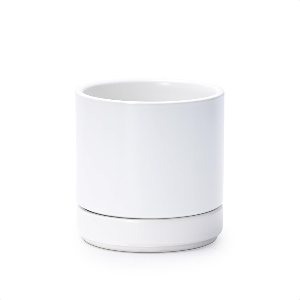 D'vine Dev 4.7-inch ceramic planter with drainage hole for moisture control.