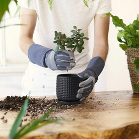 D'vine Dev 4-inch pot side view showcasing ebony matte finish fits compact spaces