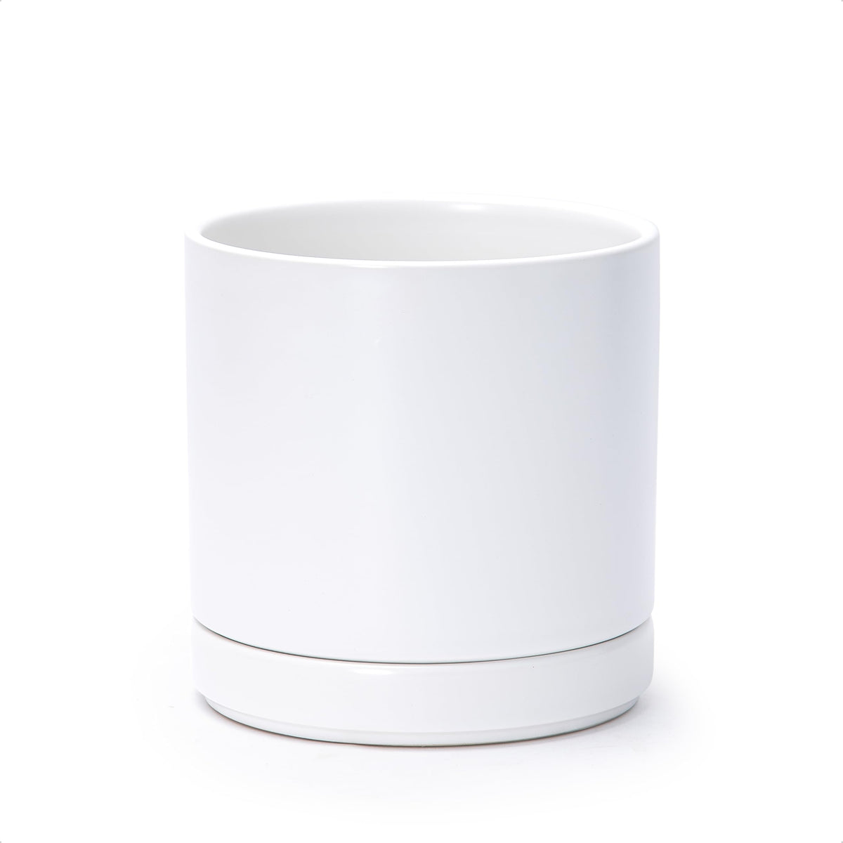 D'vine Dev 6.5-inch ceramic planter with drainage hole for healthy indoor plants.