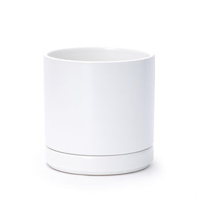 D'vine Dev 6.5-inch ceramic planter with drainage hole for healthy indoor plants.