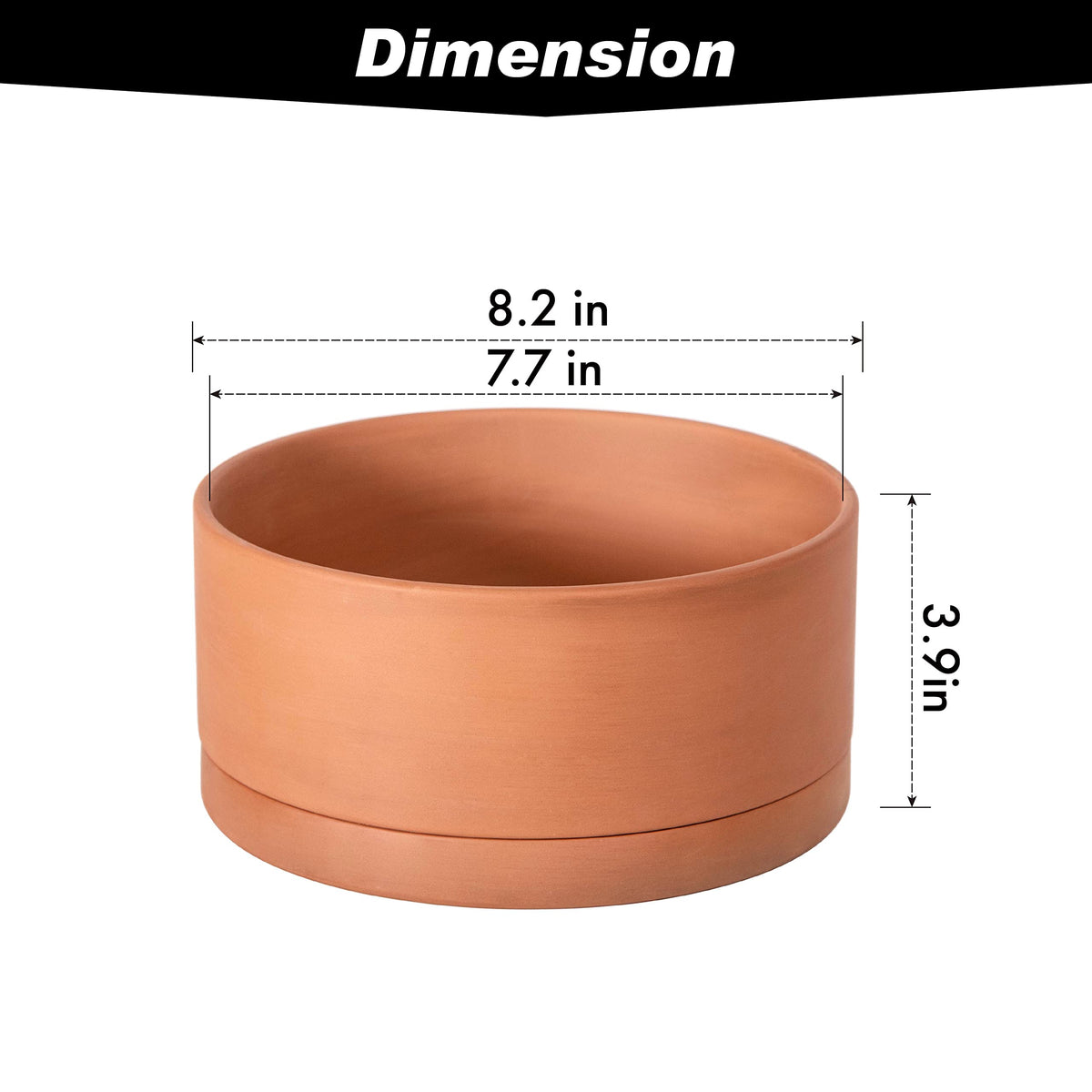 D'vine Dev drainage hole closeup highlights moisture control for succulents