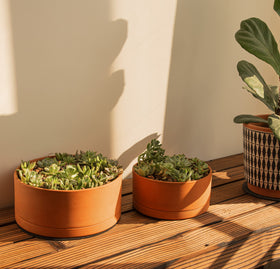 D'vine Dev pot side view demonstrates sturdy terracotta and elegant desktop-friendly profile