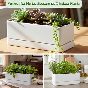D'vine Dev BPA-free plastic planter emphasizes safe, durable plant housing.