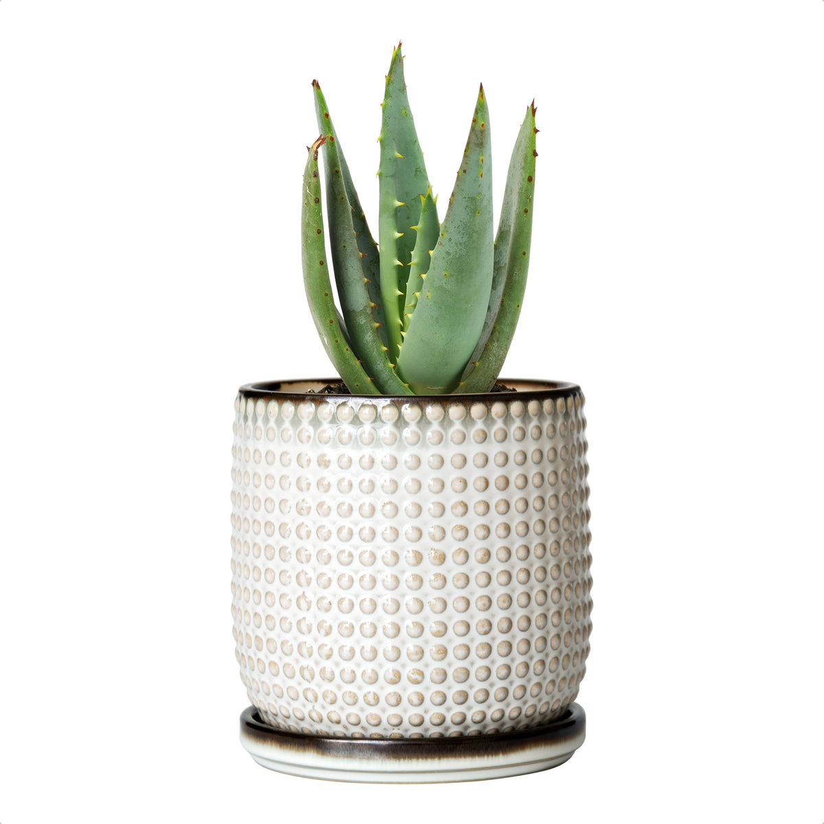 D'vine Dev 4-inch ceramic beaded planter in smoked white with drainage holes.