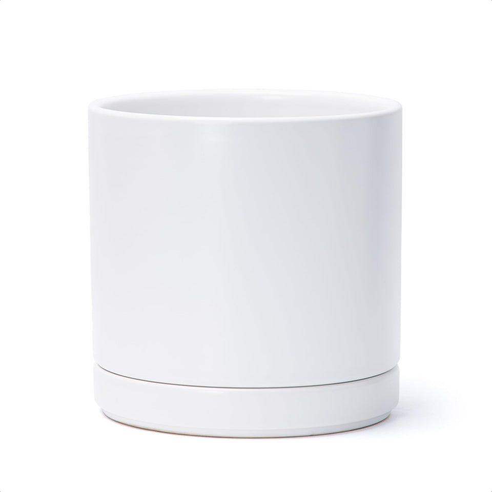 D'vine Dev ceramic planter pot in white with sleek cylindrical design for stylish indoor displays