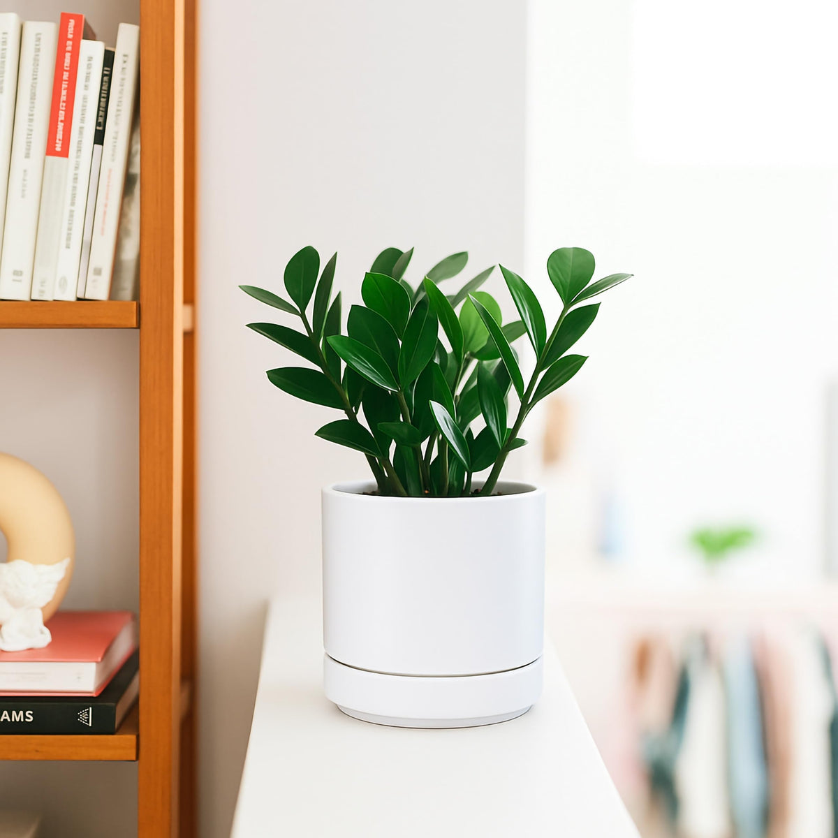D'vine Dev white ceramic planter with saucer protects surfaces.
