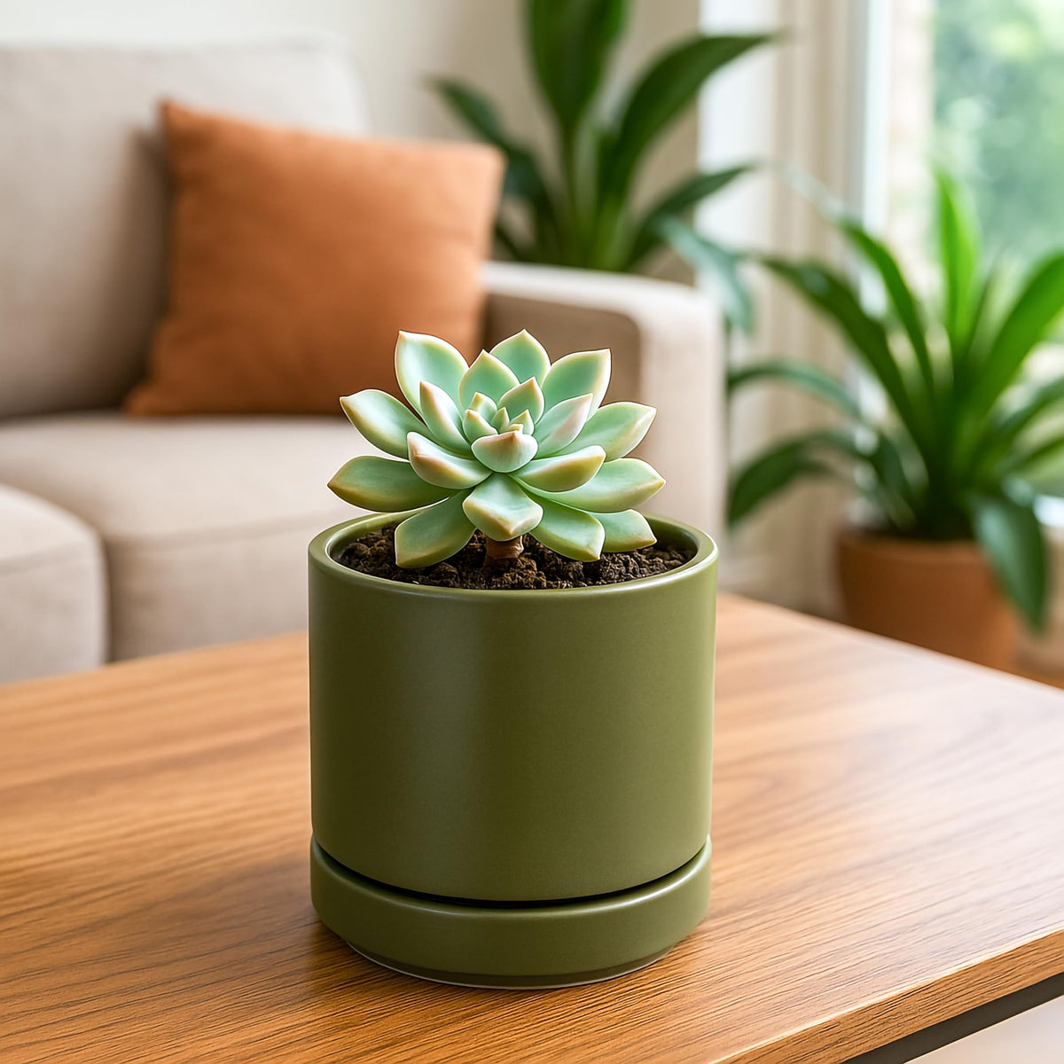 D'vine Dev ceramic planter and scratch pad protect surfaces.